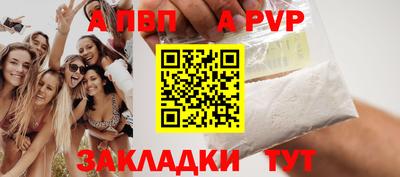 прущие грибы Усть-Джегута