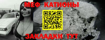 прущие грибы Усть-Джегута